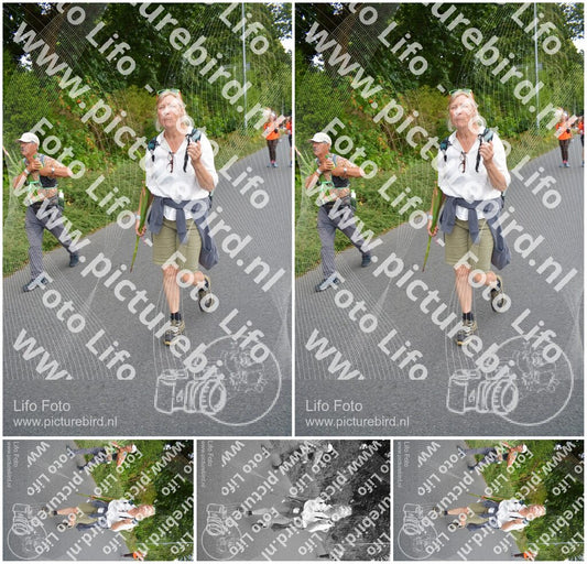 Evenement foto: Nijmeegse Vierdaagse 977