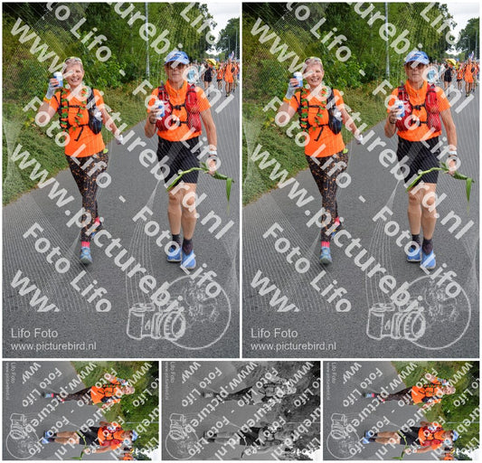 Evenement foto: Nijmeegse Vierdaagse 977
