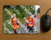 Evenement foto: Nijmeegse Vierdaagse 977