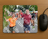 Evenement foto: Nijmeegse Vierdaagse 977