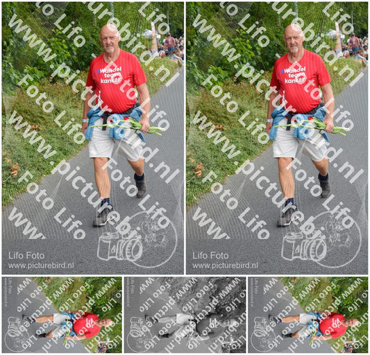 Evenement foto: Nijmeegse Vierdaagse 977