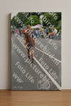Evenement foto: Nijmeegse Vierdaagse 977