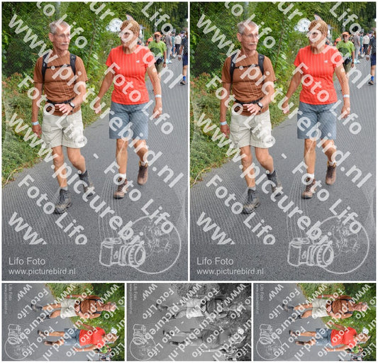 Evenement foto: Nijmeegse Vierdaagse 977