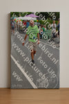 Evenement foto: Nijmeegse Vierdaagse 976