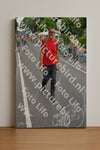 Evenement foto: Nijmeegse Vierdaagse 976