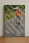 Evenement foto: Nijmeegse Vierdaagse 976