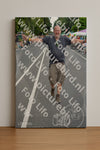 Evenement foto: Nijmeegse Vierdaagse 976