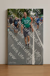 Evenement foto: Nijmeegse Vierdaagse 976