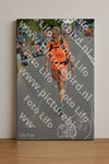 Evenement foto: Nijmeegse Vierdaagse 976