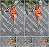 Evenement foto: Nijmeegse Vierdaagse 976