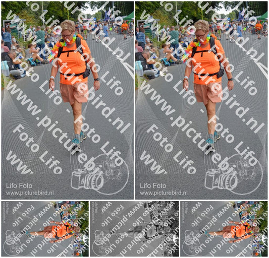 Evenement foto: Nijmeegse Vierdaagse 976