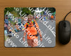 Evenement foto: Nijmeegse Vierdaagse 976