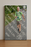 Evenement foto: Nijmeegse Vierdaagse 976