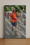 Evenement foto: Nijmeegse Vierdaagse 976