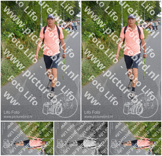 Evenement foto: Nijmeegse Vierdaagse 976
