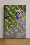 Evenement foto: Nijmeegse Vierdaagse 976