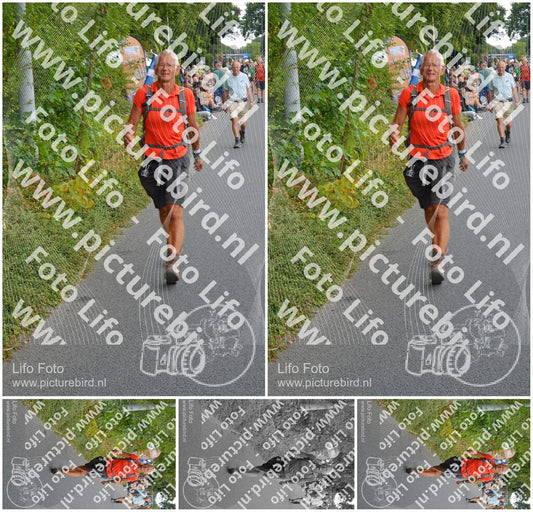 Evenement foto: Nijmeegse Vierdaagse 976