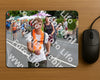 Evenement foto: Nijmeegse Vierdaagse 976