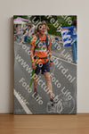 Evenement foto: Nijmeegse Vierdaagse 976
