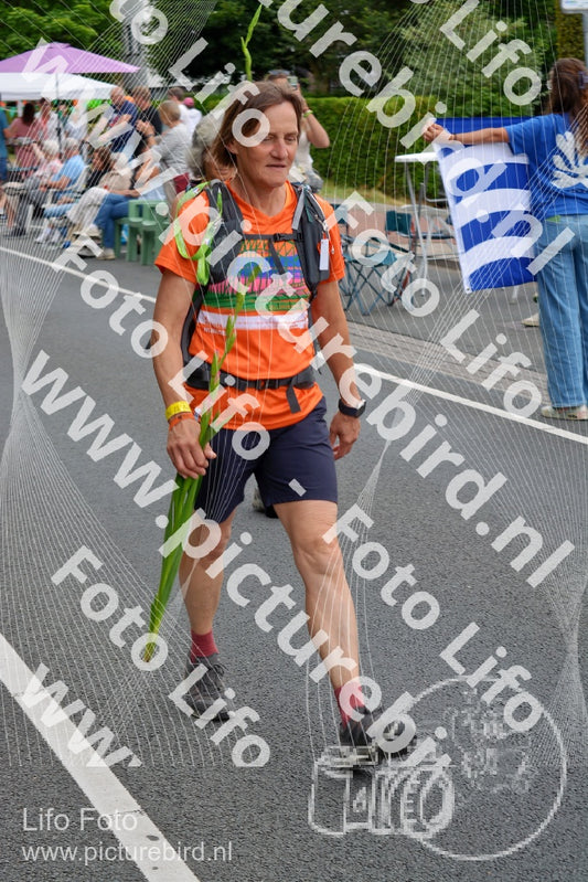 Evenement foto: Nijmeegse Vierdaagse 976