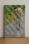 Evenement foto: Nijmeegse Vierdaagse 976