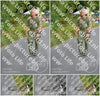 Evenement foto: Nijmeegse Vierdaagse 976