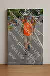 Evenement foto: Nijmeegse Vierdaagse 976