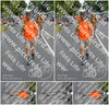 Evenement foto: Nijmeegse Vierdaagse 976