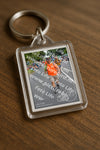 Evenement foto: Nijmeegse Vierdaagse 976
