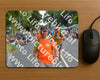 Evenement foto: Nijmeegse Vierdaagse 976