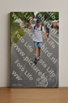 Evenement foto: Nijmeegse Vierdaagse 976