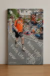 Evenement foto: Nijmeegse Vierdaagse 976