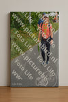 Evenement foto: Nijmeegse Vierdaagse 976