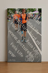 Evenement foto: Nijmeegse Vierdaagse 976