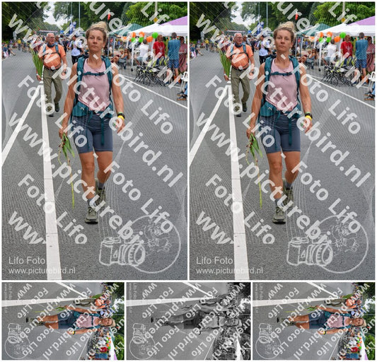 Evenement foto: Nijmeegse Vierdaagse 975