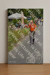 Evenement foto: Nijmeegse Vierdaagse 975