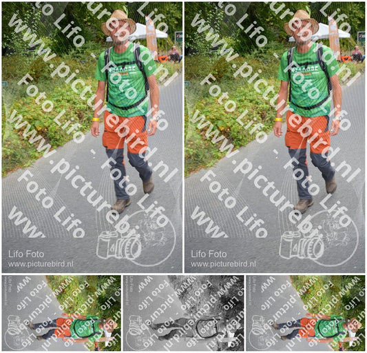 Evenement foto: Nijmeegse Vierdaagse 975