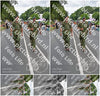 Evenement foto: Nijmeegse Vierdaagse 975