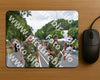 Evenement foto: Nijmeegse Vierdaagse 975