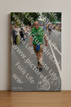 Evenement foto: Nijmeegse Vierdaagse 975