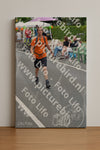 Evenement foto: Nijmeegse Vierdaagse 975