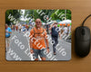 Evenement foto: Nijmeegse Vierdaagse 975