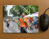 Evenement foto: Nijmeegse Vierdaagse 975