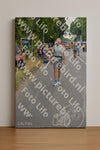 Evenement foto: Nijmeegse Vierdaagse 975