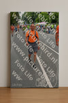 Evenement foto: Nijmeegse Vierdaagse 975