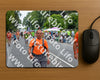 Evenement foto: Nijmeegse Vierdaagse 975