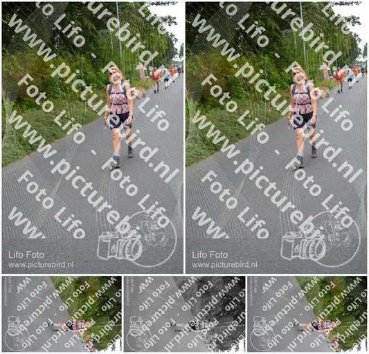 Evenement foto: Nijmeegse Vierdaagse 975