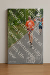 Evenement foto: Nijmeegse Vierdaagse 975