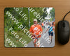 Evenement foto: Nijmeegse Vierdaagse 975