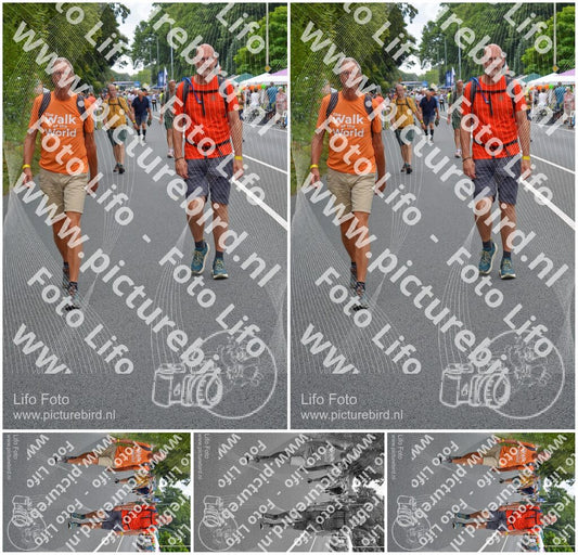 Evenement foto: Nijmeegse Vierdaagse 975